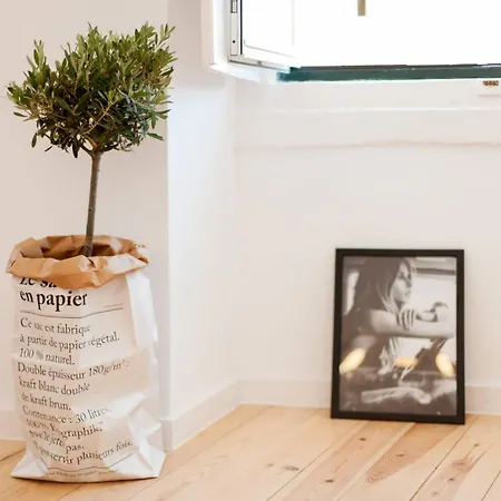 My Lx Flat Castle Alfama Apartment Lisbon